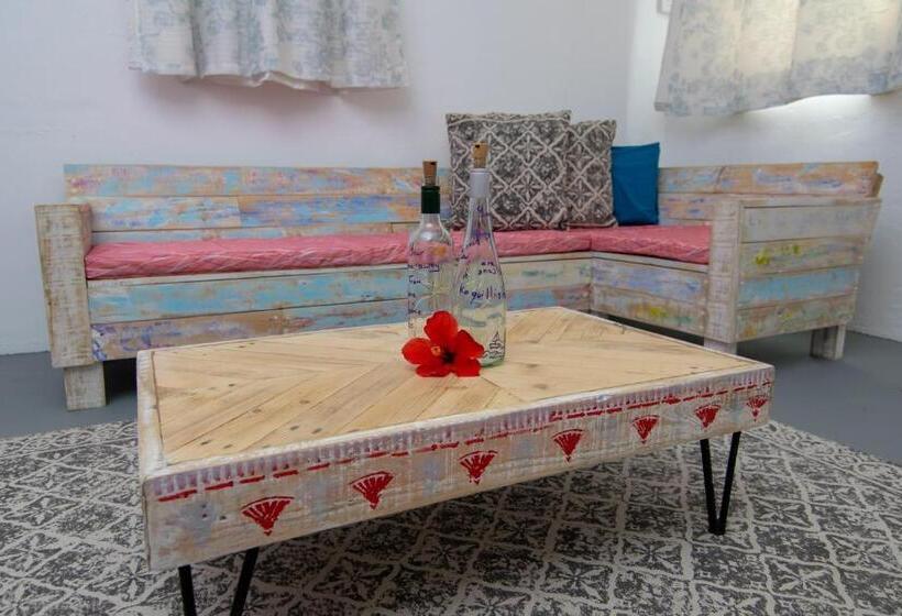 Süit, La Koquillishe