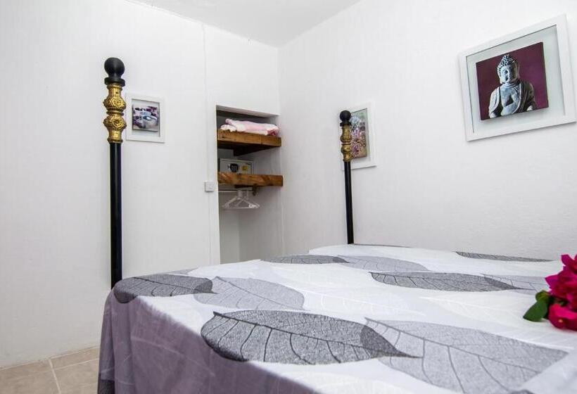 Süit, La Koquillishe