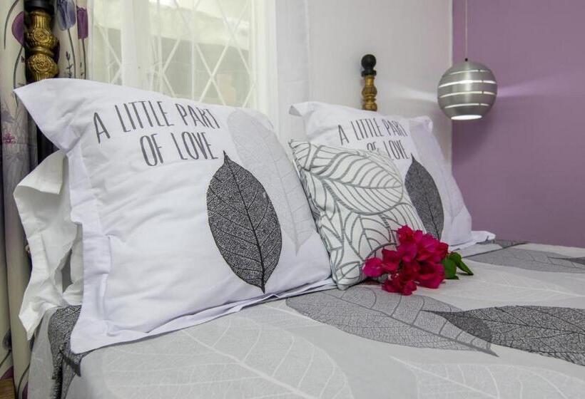 Süit, La Koquillishe