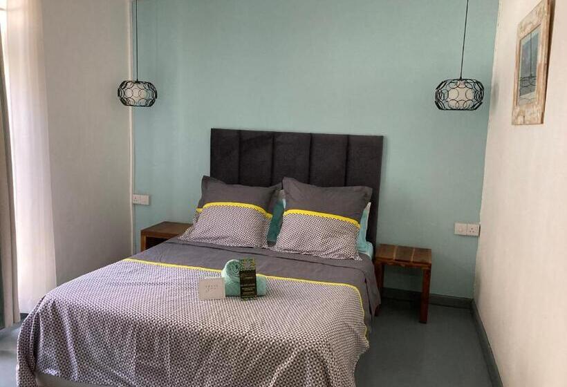 Standart Oda, La Koquillishe