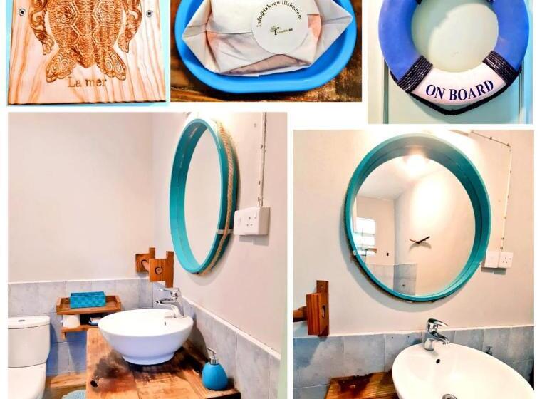 Deniz Mandarazıl Standart Stüdyo, La Koquillishe