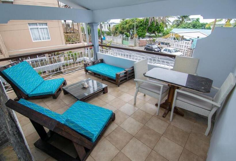 Superior Stüdyo, La Koquillishe