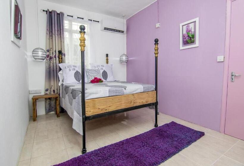 Süit, La Koquillishe