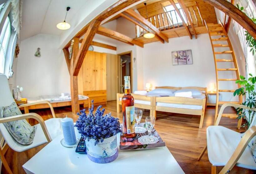 패밀리 아파트, Penzion Petra