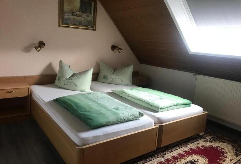 Номер Стандарт, Fantastic