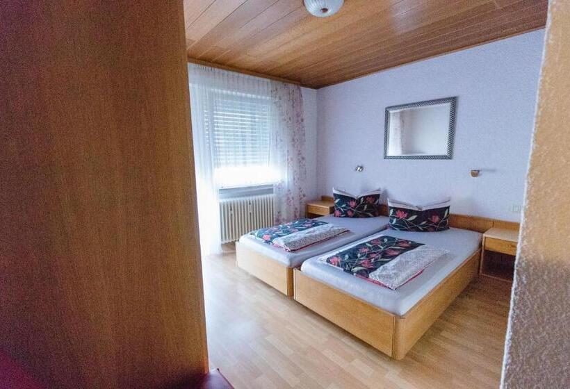 Номер Стандарт, Fantastic