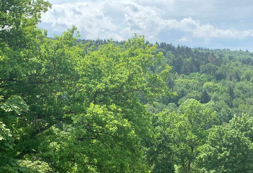 شقة غرفة نوم واحدة مزودة بشُرفة, Lessinghaus