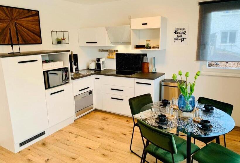 شقة غرفة واحدة مزودة بتراس, Lessinghaus