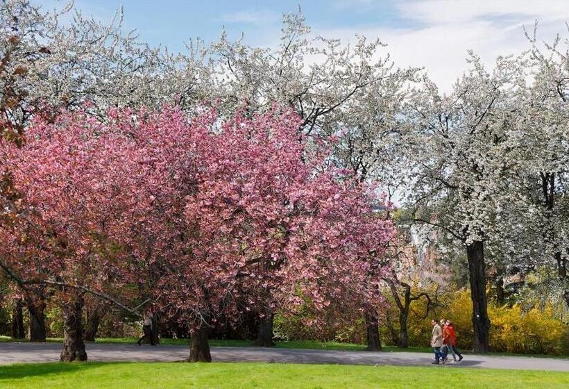 اتاق سوپریور, Upscalecity Center