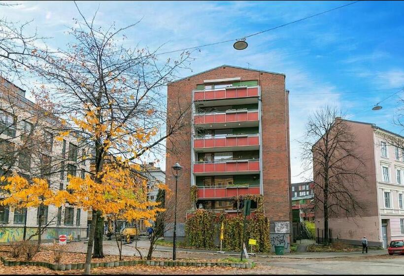 اتاق سوپریور با تخت بزرگ, Upscalecity Center