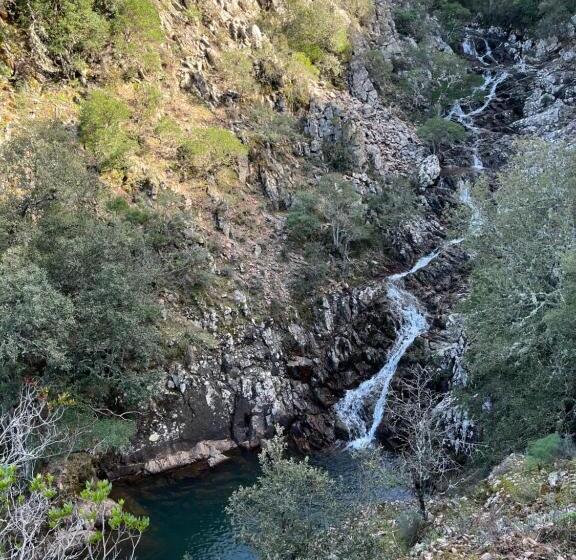 חדר סטנדרט, B&b Roseddu