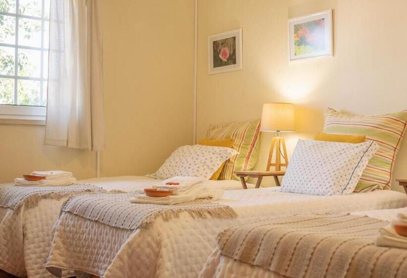 １ベッドルームハウス, Amendoeirashouse