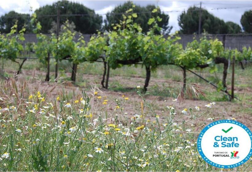 침실 1개 주택, Amendoeirashouse