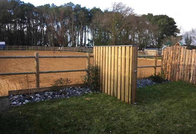 スタンダードルーム, L échappée Saline