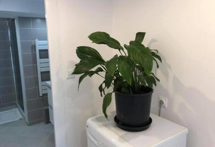 اتاق لوکس, Les Terrasses D Angoulême