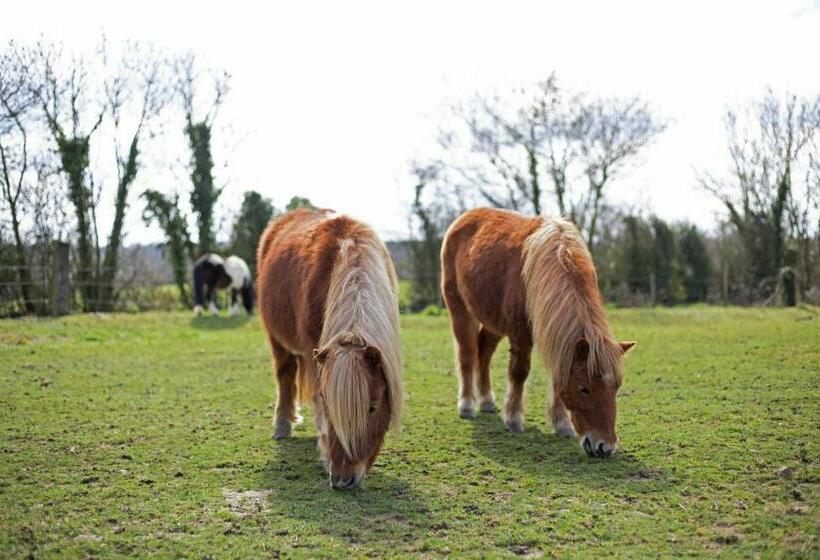 חדר סטנדרט נוף לגינה, Cottage Du Garlai