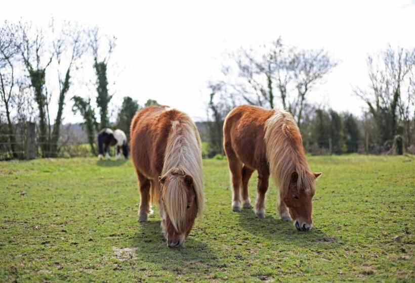 חדר דלוקס, Cottage Du Garlai