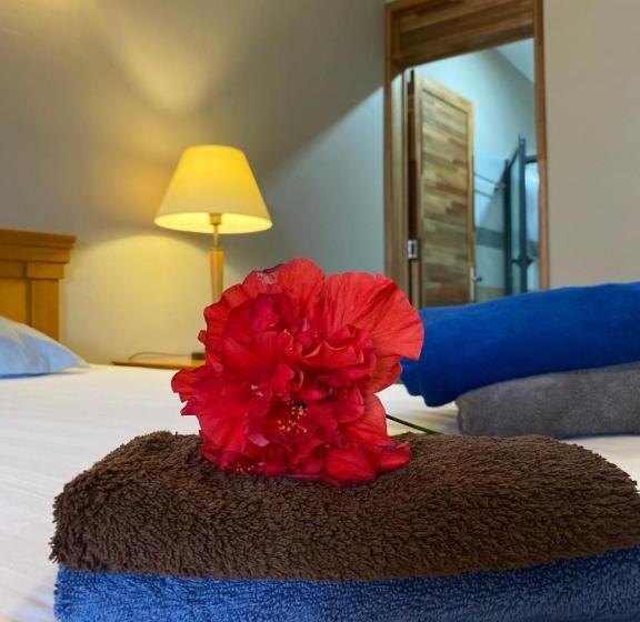 اتاق استاندارد با چشمانداز استخر, Kstudios