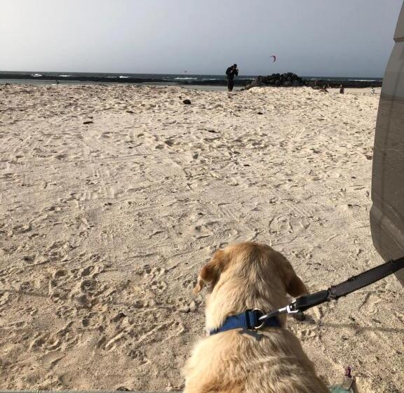 اتاق لوکس, Vereda De Las Camellas