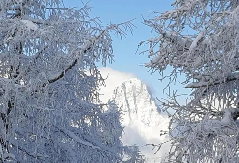 1ベッドルームアパートメント, Höss Alpin Lodge