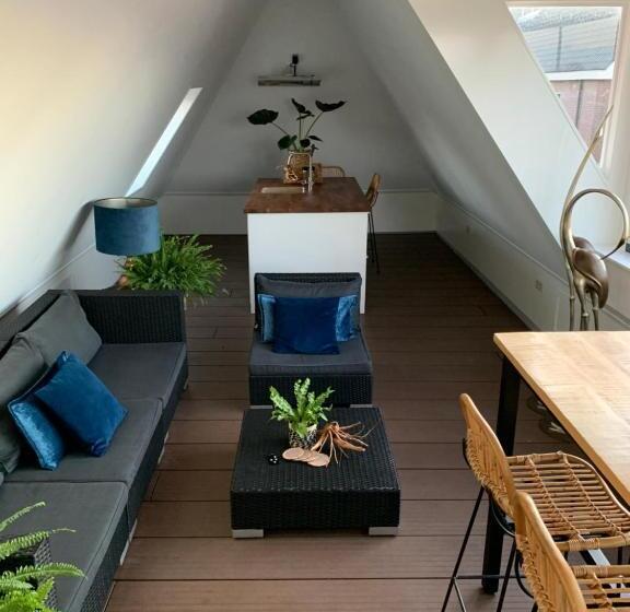 高级大房间, Pension Montmaertre