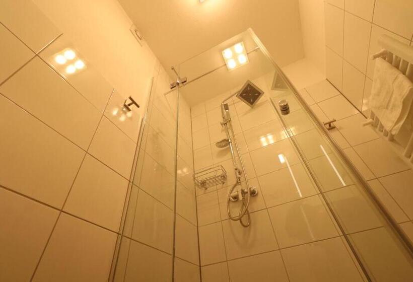 스탠다드 싱글 룸 공동욕실, Schiller Pension