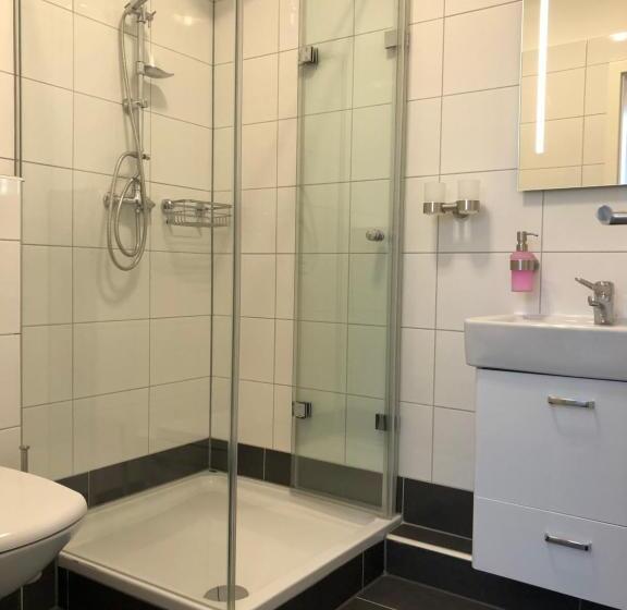 스탠다드 싱글 룸, Schiller Pension