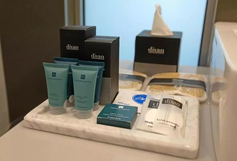キングサイドベッドのスタンダードワンルーム, Divan Corlu