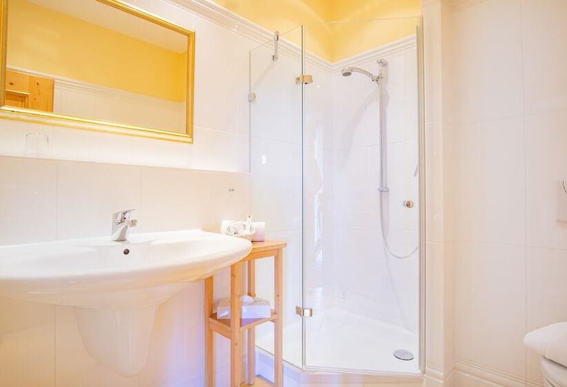 コンフォートシングルルーム, Glasl S Land