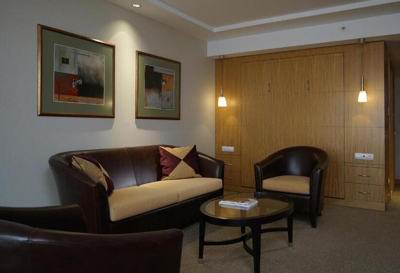 デラックススタジオ, Lugal, A Luxury Collection Hotel, Ankara