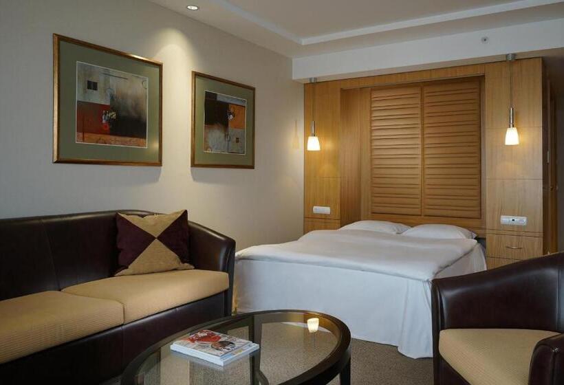 デラックススタジオ, Lugal, A Luxury Collection Hotel, Ankara