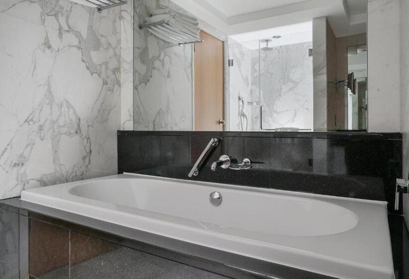 １ベッドルームアパートメント, Lugal, A Luxury Collection Hotel, Ankara