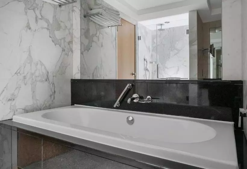 １ベッドルームアパートメント, Lugal, A Luxury Collection Hotel, Ankara