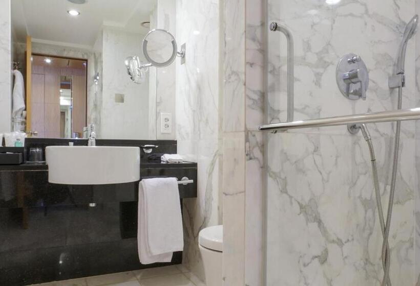 デラックスルーム, Lugal, A Luxury Collection Hotel, Ankara