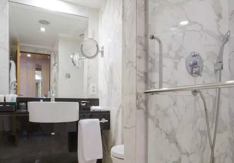 デラックスルーム, Lugal, A Luxury Collection Hotel, Ankara