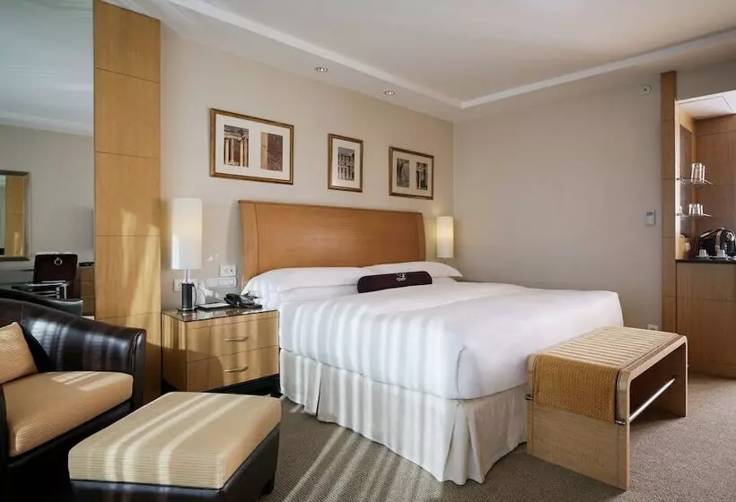デラックスルーム, Lugal, A Luxury Collection Hotel, Ankara