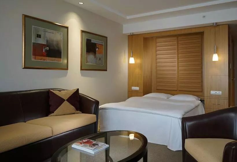 デラックススタジオ, Lugal, A Luxury Collection Hotel, Ankara