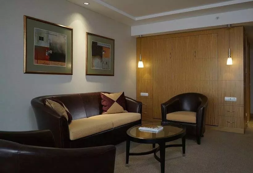 デラックススタジオ, Lugal, A Luxury Collection Hotel, Ankara