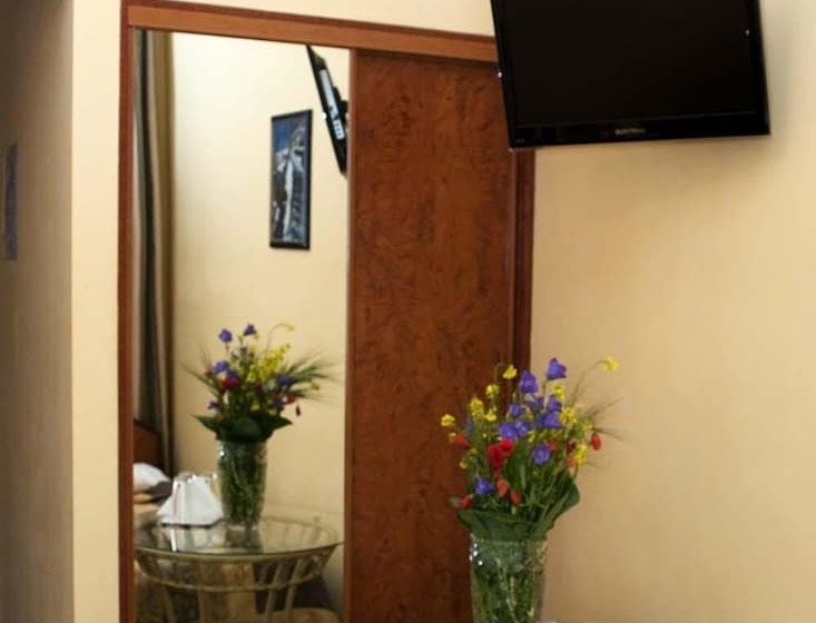 اتاق استاندارد سه نفره, Wien