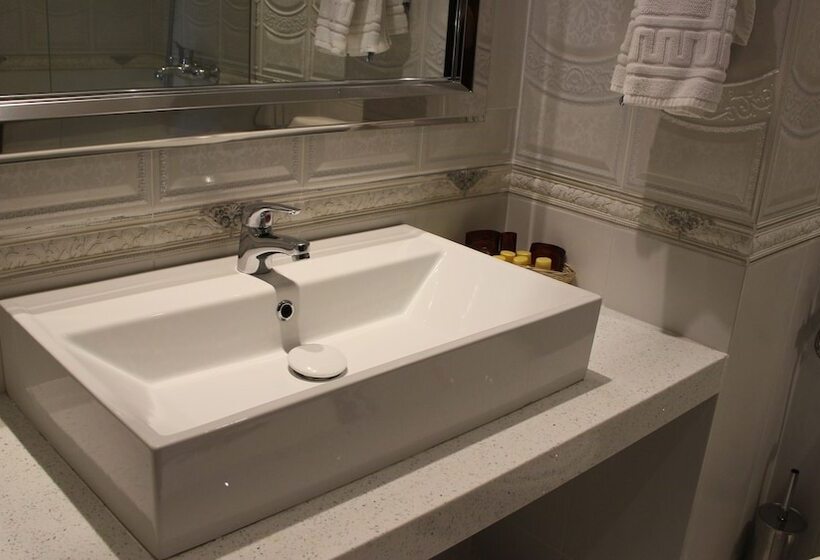 デラックスルーム, Spa Hotel Rich