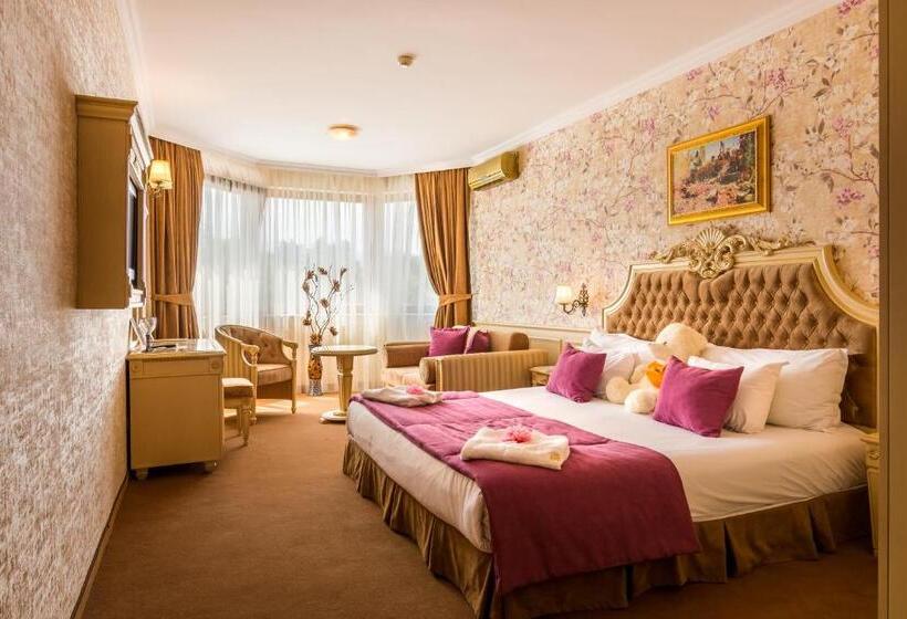 デラックスルーム, Spa Hotel Rich