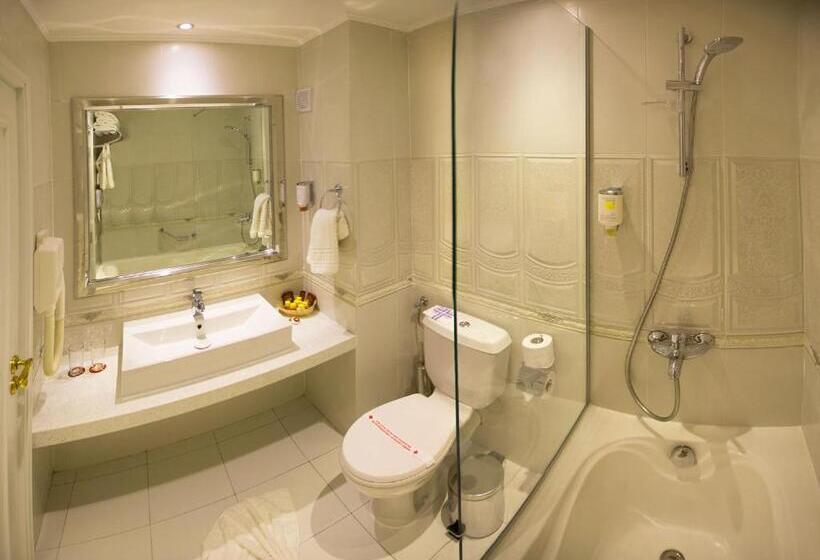Номер Deluxe, Spa Hotel Rich