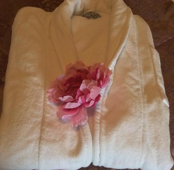 デラックスルーム, Spa Hotel Rich