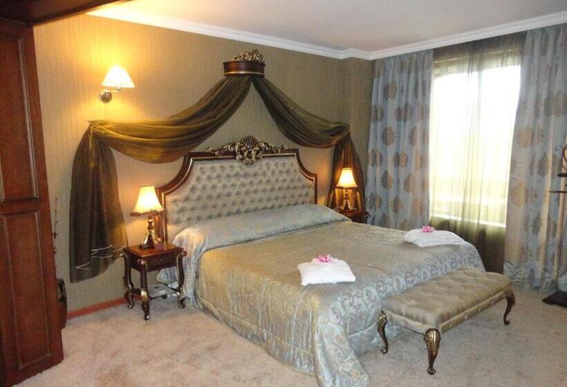 ハイドロマッサージバス付きスイート, Spa Hotel Rich