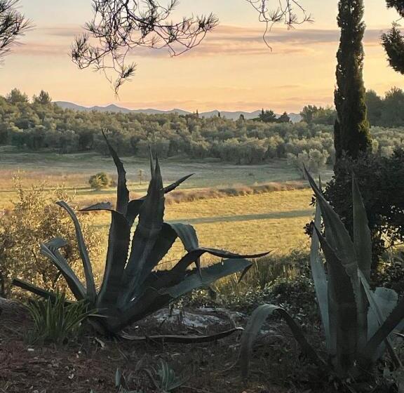 标准间带游泳池, Mas Des Alpilles