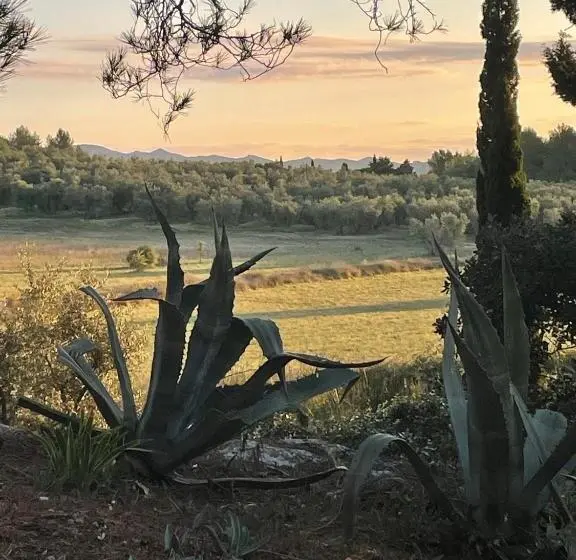 デラックスルーム, Mas Des Alpilles