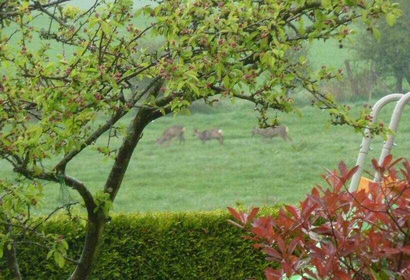 غرفة قياسية مطلّة علي الحديقة, Nature Et Plage