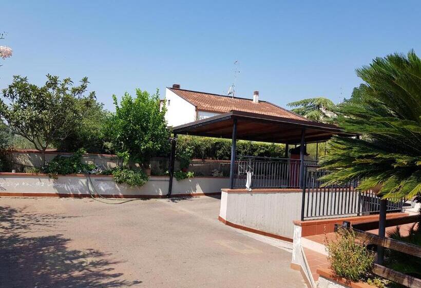 标准间, Sassi S Loft