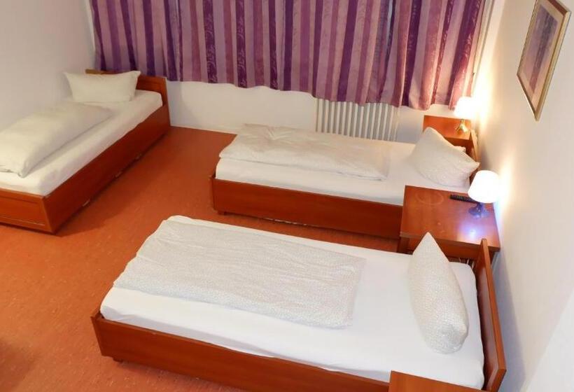 اتاق استاندارد سه نفره, Hostel Am Kurtti