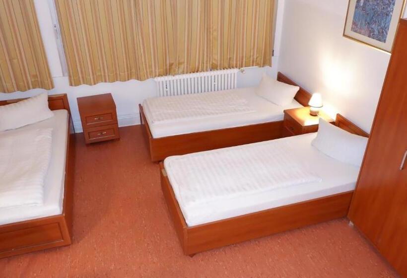 اتاق استاندارد چهار تخته, Hostel Am Kurtti